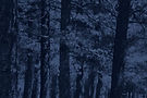Texture3_1500px.jpg
