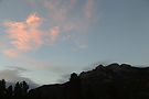 IMG_0270.jpg